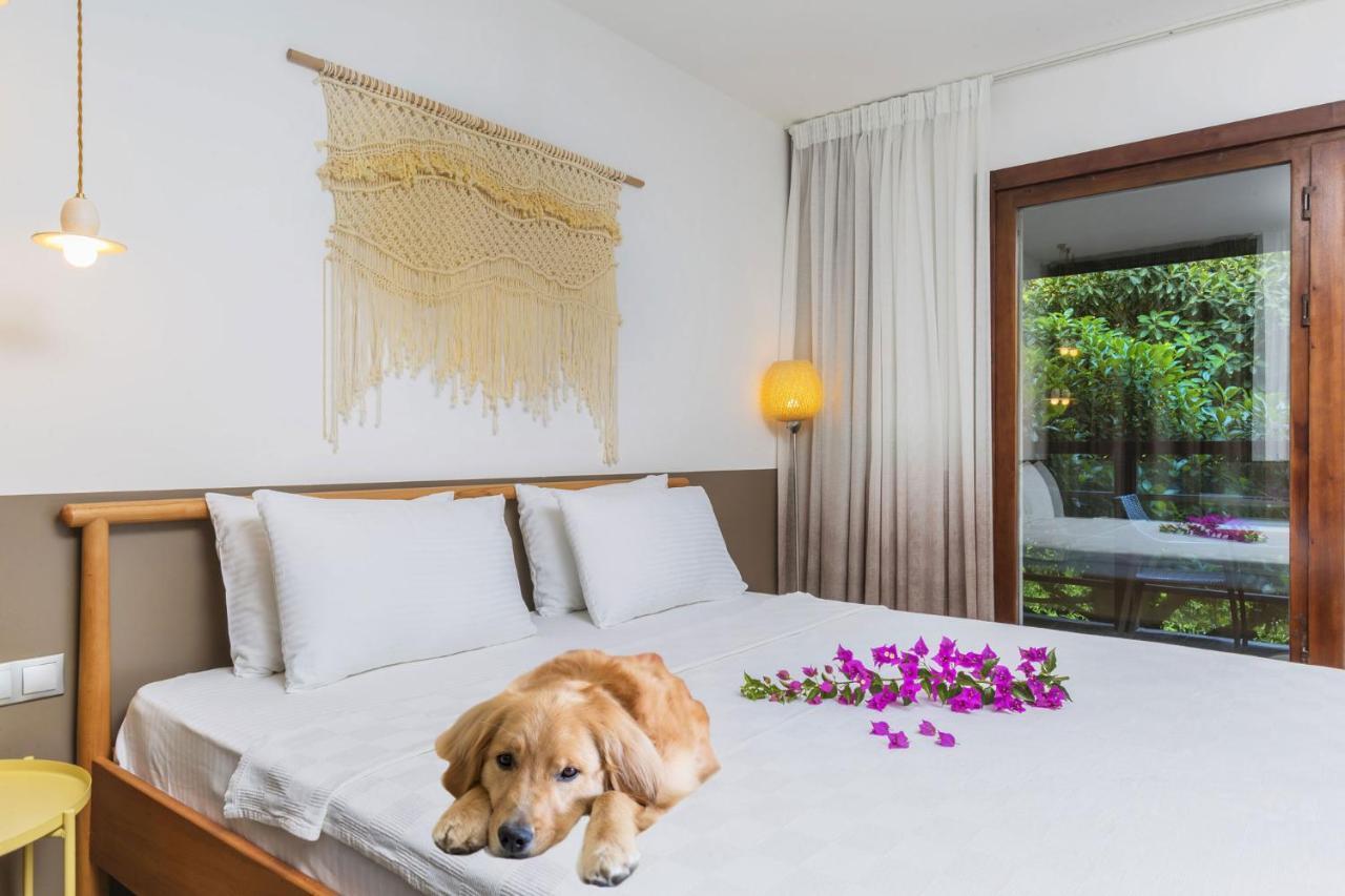 Faros Bodrum Hotel - Special Category โกลเติร์กบูคู ภายนอก รูปภาพ